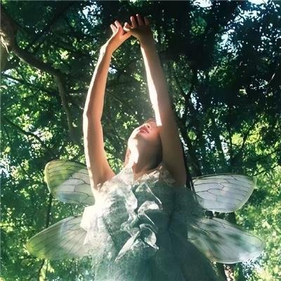 夏小姐的先婚后爱